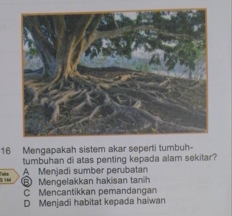 Mengapakah sistem akar seperti tumbuh-
tumbuhan di atas penting kepada alam sekitar?
Teks A Menjadi sumber perubatan
S 144 B Mengelakkan hakisan tanih
C Mencantikkan pemandangan
D Menjadi habitat kepada haiwan