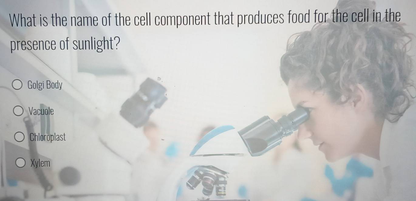 What is the name of the cell component that produces food for the cell in the
presence of sunlight?
Golgi Body
Vacuole
Chloroplast
Xylem