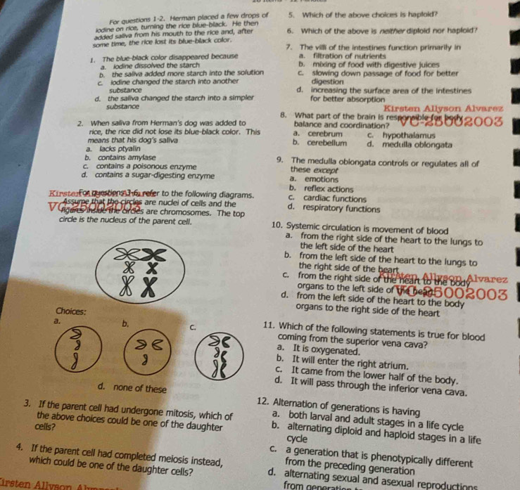 For questions 1-2. Herman placed a few drops of 5. Which of the above choices is haploid?
iodine on rice, turning the rice blue-black. He then
added saliva from his mouth to the rice and, after 6. Which of the above is neither diploid nor haploid?
some time, the rice lost its blue-black color. 7. The villi of the intestines function primarily in
a. filtration of nutrients
1. The blue-black color disappeared because b. mixing of food with digestive juices
a. iodine dissolved the starch
b. the saliva added more starch into the solution c. slowing down passage of food for better
digestion
c. iodine changed the starch into another d. increasing the surface area of the intestines
substance
d. the saliva changed the starch into a simpler for better absorption
substance Kirsten Allyson Alvarez
8. What part of the brain is responsible for be
2. When saliva from Herman's dog was added to a. cerebrum balance and coordination?
rice, the rice did not lose its blue-black color. This c. hypothalamus
means that his dog's saliva b. cerebellum d. medulla oblongata
a. lacks ptyalin
b. contains amylase 9. The medulla obiongata controls or regulates all of
c. contains a poisonous enzyme these except
d. contains a sugar-digesting enzyme a. emotions
b. reflex actions
Kirster or questions I  refer to the following diagrams. c. cardiac functions
   
Assume that the circles are nuclei of cells and the d. respiratory functions
figures inside the circles are chromosomes. The top
circle is the nucleus of the parent cell. 10. Systemic circulation is movement of blood
a. from the right side of the heart to the lungs to
the left side of the heart
b. from the left side of the heart to the lungs to
the right side of the beart .
c. from the right side of the heart to the bod Alvarez
organs to the left side of
d. from the left side of the heart to the body
Choices:
organs to the right side of the heart
a. b. C. 11. Which of the following statements is true for blood
coming from the superior vena cava?
a. It is oxygenated.
b. It will enter the right atrium.
c. It came from the lower half of the body.
d. It will pass through the inferior vena cava.
d. none of these 12. Alternation of generations is having
a. both larval and adult stages in a life cycle
the above choices could be one of the daughter
3. If the parent cell had undergone mitosis, which of b. alternating diploid and haploid stages in a life
cells? cycle
c. a generation that is phenotypically different
4. If the parent cell had completed meiosis instead, from the preceding generation
which could be one of the daughter cells? d. alternating sexual and asexual reproductions
Krste  vso   
from  ge er