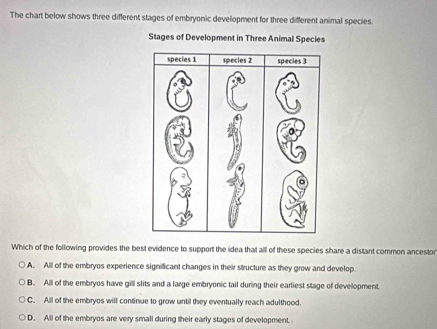 Solved: The chart below shows three different stages of embryonic ...