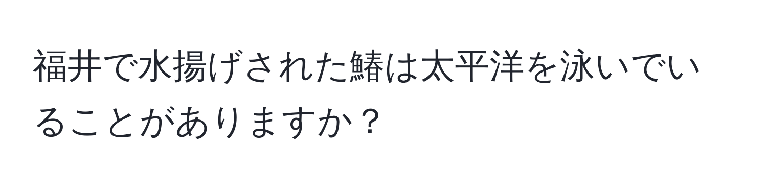 福井で水揚げされた鰆は太平洋を泳いでいることがありますか？