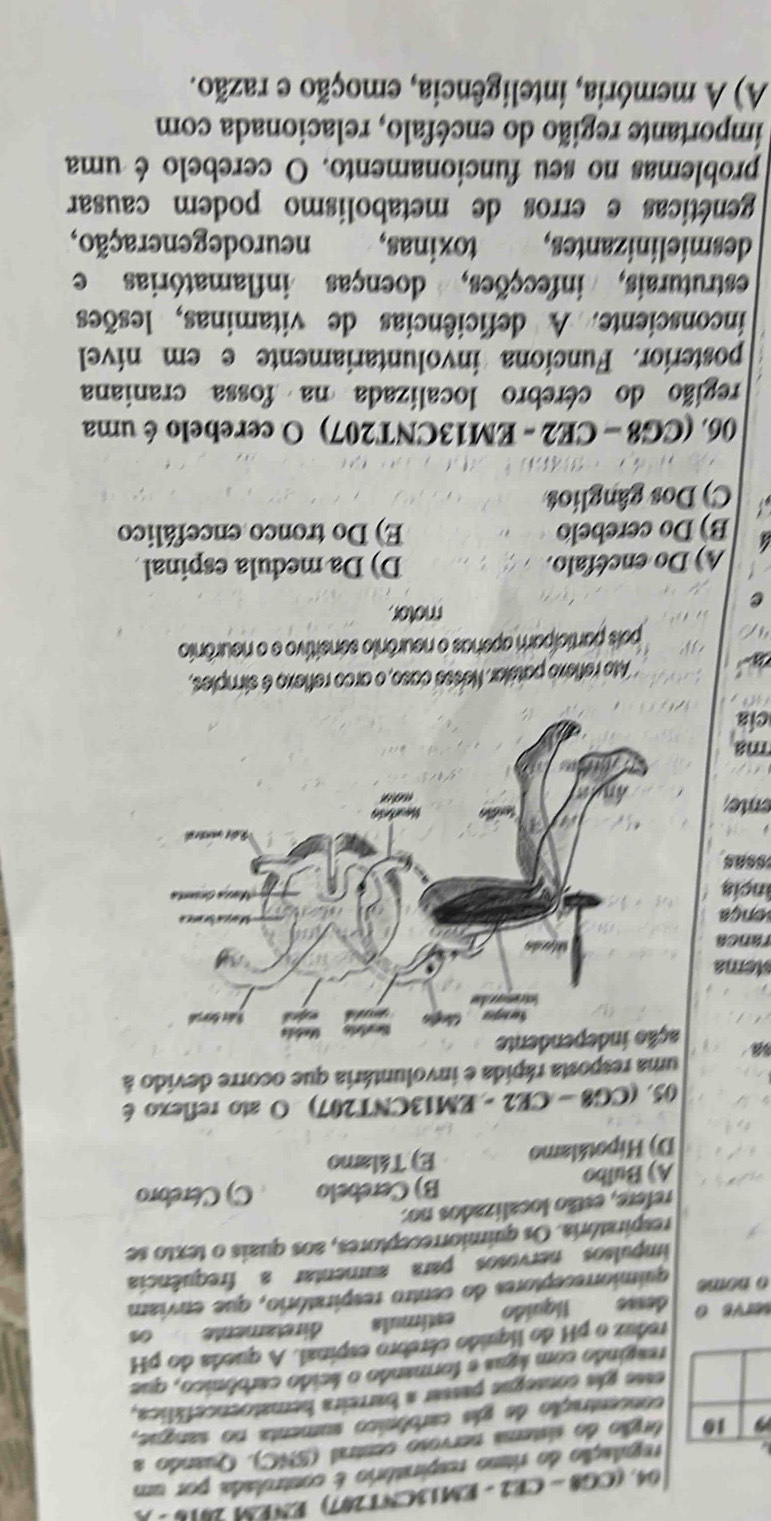 (CG8 - CE2 - EM13CNT207) ENEM 2018 - A
regulação do ritmo respiratório é controlada por um
10 órgão do sistema nervoso central (SNC). Quando a
concentração de gás carbônico sumenta no sangue,
esse gás consegue passar a barreira hematoencefálica,
reagindo com água e formando o ácido carbônico, que
reduz o pH do líquido cérebro espinal. A queda do pH
serve 0 dease líquido estímula diretamente 0
o nome quimiorreceptores do centro respiratório, que enviam
impulsos nervosos para sumentar a frequência
respiratória. Os quimiorreceptores, aos quais o texto se
refere, estão localizados no:
A) Bulbo B) Cerebelo C) Cérebro
D) Hipotálamo E) Tálamo
05. (CG8 - CE2 - EM13CNT207) O ato reflexo é
uma resposta rápida e involuntária que ocorre devido à
sa 
stema
ranca
sença
incia
ente
ma
cía
* Ato reflexo patelar. Nesse caso, o arco reflexo é simples,
pois participam apenas o neurônio sensitivo e o neurônio
e
motor.
A) Do encéfalo. D) Da medula espinal
4 B) Do cerebelo E) Do tronco encefálico
C) Dos gânglios
06. (CG8 - CE2 - EM13CNT207) O cerebelo é uma
região do cérebro localizada na fossa craniana
posterior. Funciona involuntariamente e em nível
inconsciente. A deficiências de vitaminas, lesões
estruturais, infecções, doenças inflamatórias e
desmielinizantes, toxinas, neurodegeneração,
genéticas e erros de metabolismo podem causar
problemas no seu funcionamento. O cerebelo é uma
importante região do encéfalo, relacionada com
A) A memória, inteligência, emoção e razão.