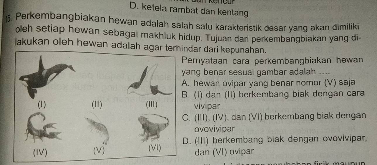 Kencur
D. ketela rambat dan kentang
5. Perkembangbiakan hewan adalah salah satu karakteristik dasar yang akan dimiliki
oleh setiap hewan sebagai makhluk hidup. Tujuan dari perkembangbiakan yang di-
lakukan oleh hewan adalah andar dari kepunahan.
ernyataan cara perkembangbiakan hewan
ang benar sesuai gambar adalah ..... hewan ovipar yang benar nomor (V) saja. (I) dan (II) berkembang biak dengan cara
vivipar. (III), (IV), dan (VI) berkembang biak dengan
ovovivipar. (III) berkembang biak dengan ovovivipar,
dan (VI) ovipar