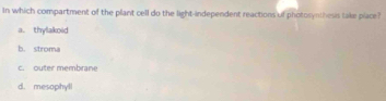 In which compartment of the plant cell do the light-independent reactions of photosynthesis take place?
a. thylakoid
b. stroma
c. outer membrane
d. mesophyl