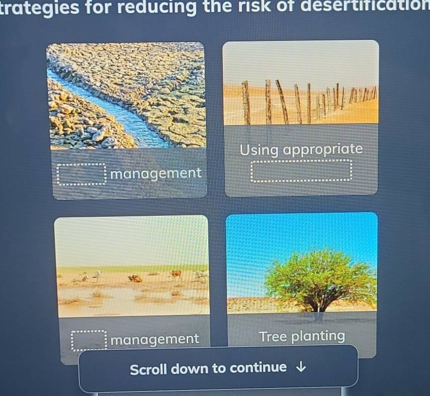 trategies for reducing the risk of desertification
Using appropriate
management
management Tree planting
Scroll down to continue