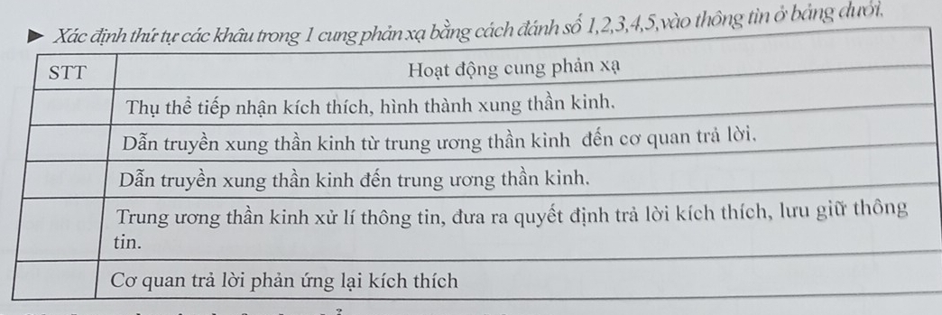 5,vào thông tin ở bảng đưới.