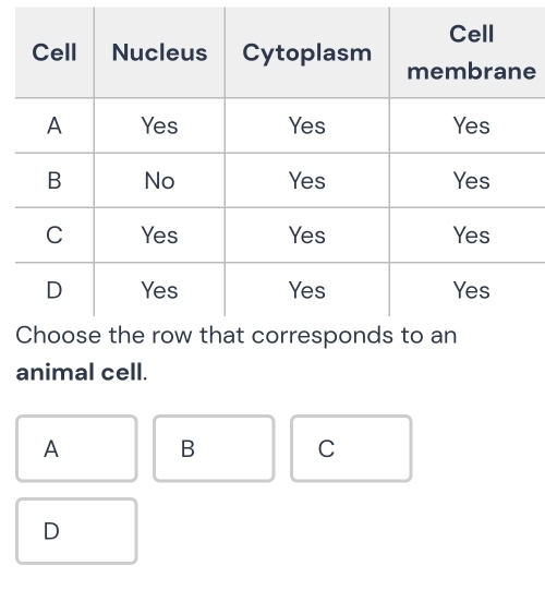 animal cell.
A B C
D