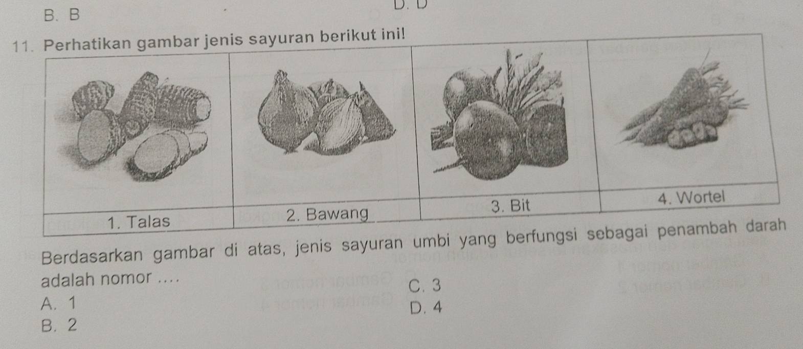 B. B
D. D
11. Perhatikan gambar jenis sayuran berikut ini!
1. Talas 2. Bawang 3. Bit 4. Wortel
Berdasarkan gambar di atas, jenis sayuran umbi yang berfungsi sebagai penambah darah
adalah nomor ....
C. 3
A. 1 D. 4
B. 2