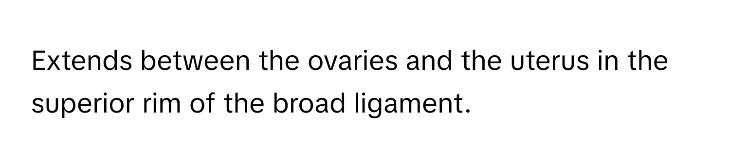 Extends between the ovaries and the uterus in the superior rim of the broad ligament.