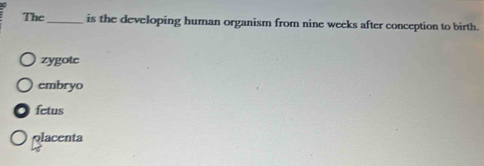 The_ is the developing human organism from nine weeks after conception to birth.
zygote
embryo
fetus
placenta
