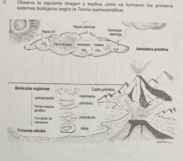 Observa la siguiente imagen y explica cómo se formaron los primeros
sistemas biológicos según la Teoría quimiosintética.