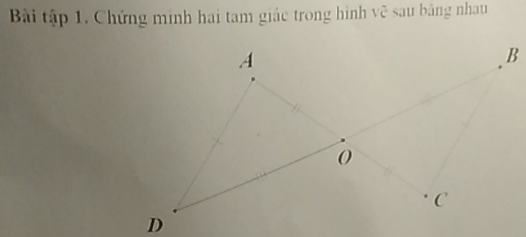 Bài tập 1. Chứng minh hai tam giác trong hình vệ sau bảng nhau