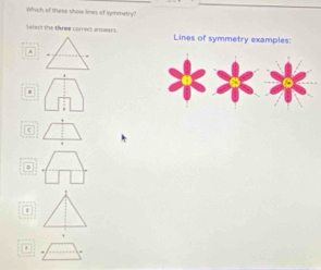 Which of these show lines of symmetry?
lelect the three correct anteers. Lines of symmetry examples:
.
=
ε
φ