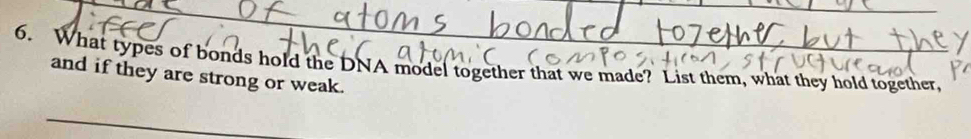 What types of bonds hold the DNA model together that we made? List them, what they hold together, 
and if they are strong or weak. 
_