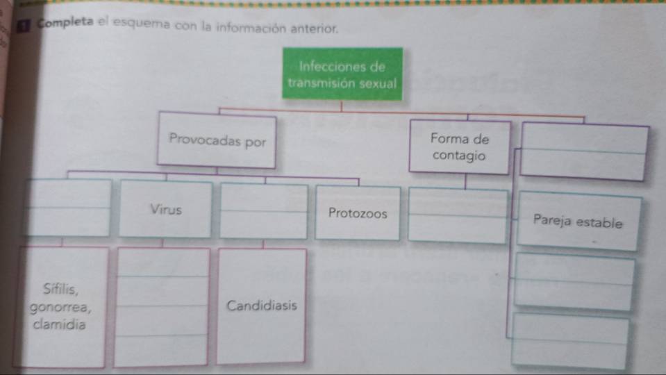 Completa el esquerna con la información anterior.