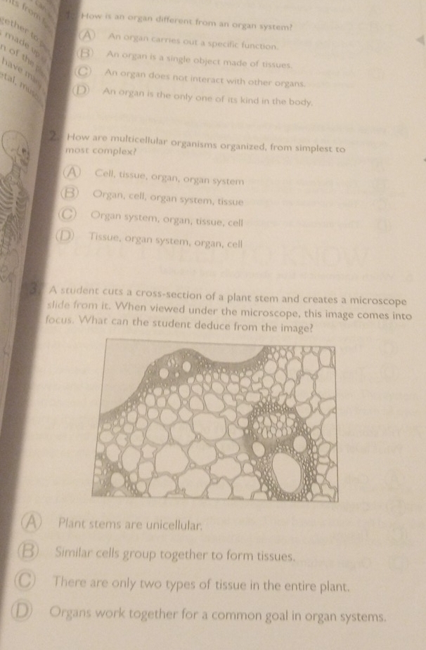 is from How is an organ different from an organ system?
ether to p
A) An organ carries out a specific function.
made up
B) An organ is a single object made of tissues.
of the ply C) An organ does not interact with other organs.
have mary
tal, muso
D An organ is the only one of its kind in the body.
2. How are multicellular organisms organized, from simplest to
most complex?
A) Cell, tissue, organ, organ system
B) Organ, cell, organ system, tissue
C) Organ system, organ, tissue, cell
D) Tissue, organ system, organ, cell
A student cuts a cross-section of a plant stem and creates a microscope
slide from it. When viewed under the microscope, this image comes into
focus. What can the student deduce from the image?
A) Plant stems are unicellular.
B) Similar cells group together to form tissues.
C) There are only two types of tissue in the entire plant.
D) Organs work together for a common goal in organ systems.