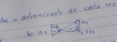 the determivanle de caola MA
a_9
b1 A= 12=12