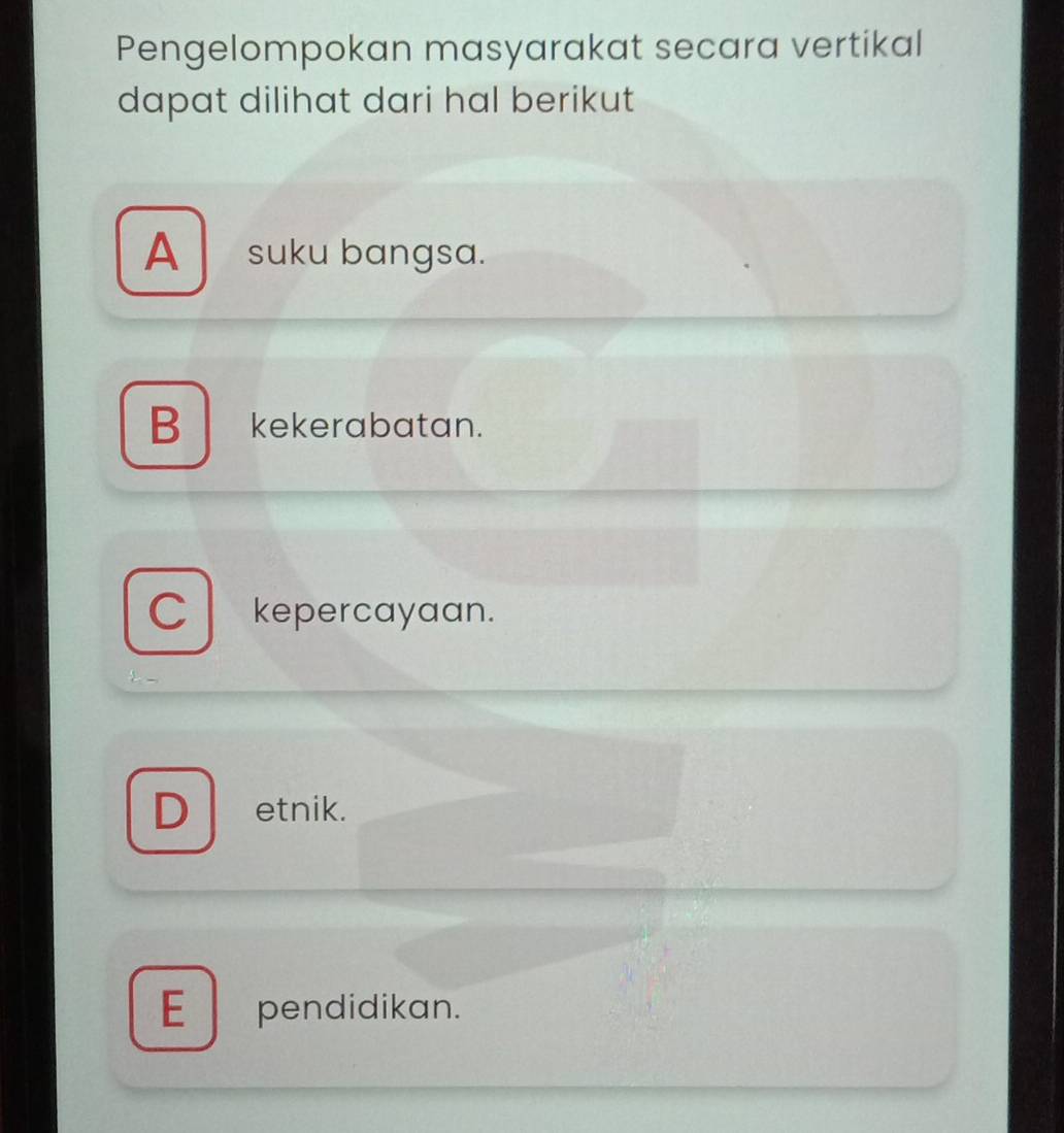 Pengelompokan masyarakat secara vertikal
dapat dilihat dari hal berikut
A suku bangsa.
Bkekerabatan.
C kepercayaan.
D etnik.
E pendidikan.