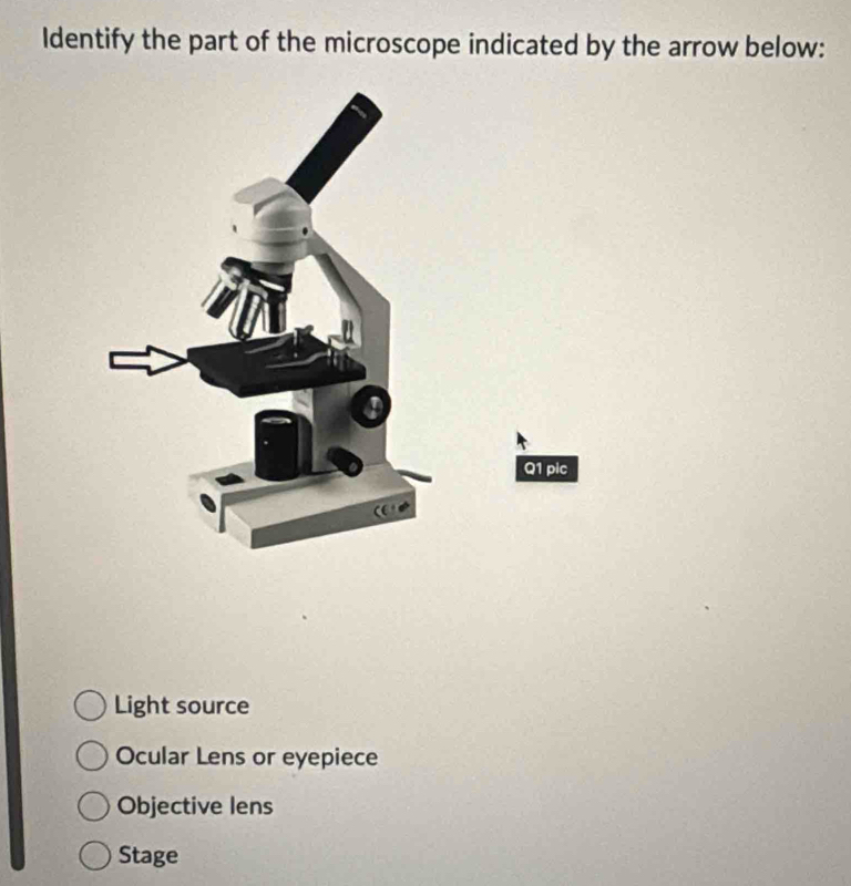 Identify the part of the microscope indicated by the arrow below:
Q1 pic
Light source
Ocular Lens or eyepiece
Objective lens
Stage