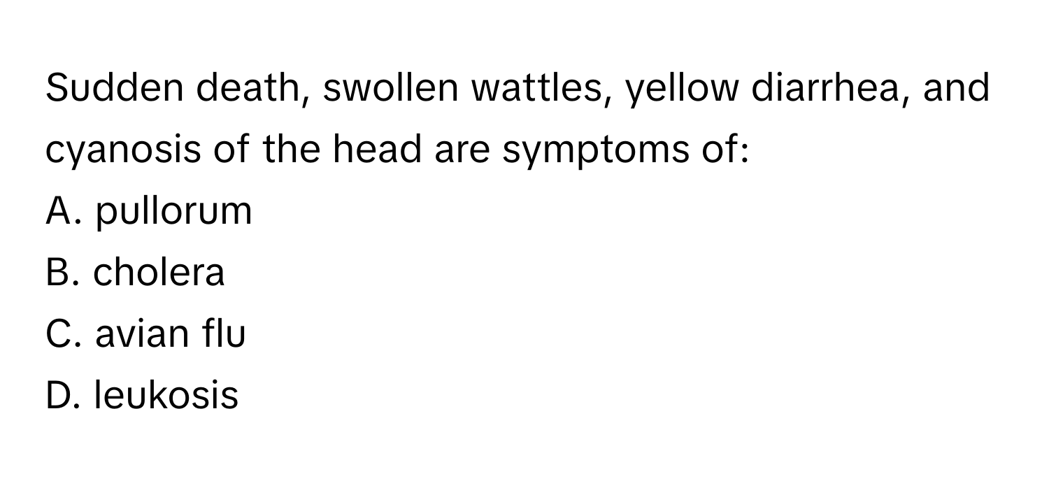 Sudden death, swollen wattles, yellow diarrhea, and cyanosis of the head are symptoms of:

A. pullorum
B. cholera
C. avian flu
D. leukosis