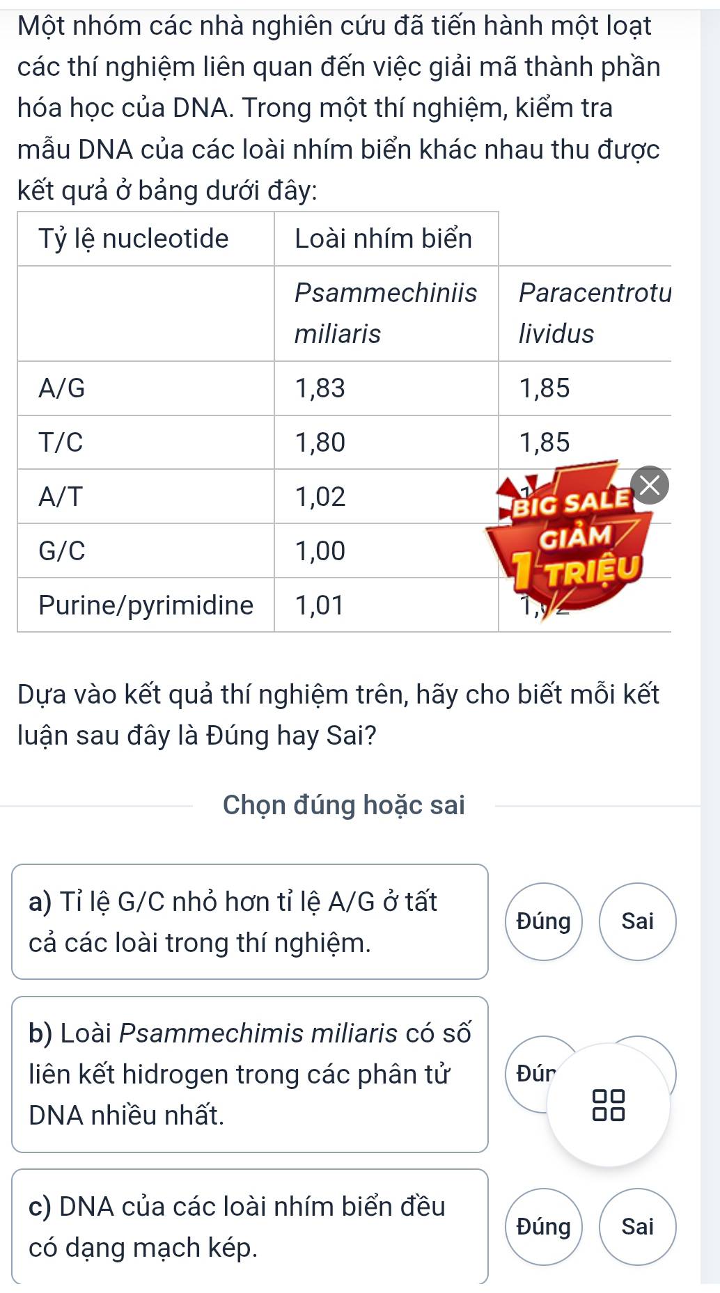 Một nhóm các nhà nghiên cứu đã tiến hành một loạt 
các thí nghiệm liên quan đến việc giải mã thành phần 
hóa học của DNA. Trong một thí nghiệm, kiểm tra 
mẫu DNA của các loài nhím biển khác nhau thu được 
kết qưả ở bảng dưới đây: 
Dựa vào kết quả thí nghiệm trên, hãy cho biết mỗi kết 
luận sau đây là Đúng hay Sai? 
Chọn đúng hoặc sai 
a) Tỉ lệ G/C nhỏ hơn tỉ lệ A/G ở tất 
Đúng Sai 
cả các loài trong thí nghiệm. 
b) Loài Psammechimis miliaris có số 
liên kết hidrogen trong các phân tử Đúr
□□
DNA nhiều nhất. 
c) DNA của các loài nhím biển đều 
Đúng Sai 
có dạng mạch kép.