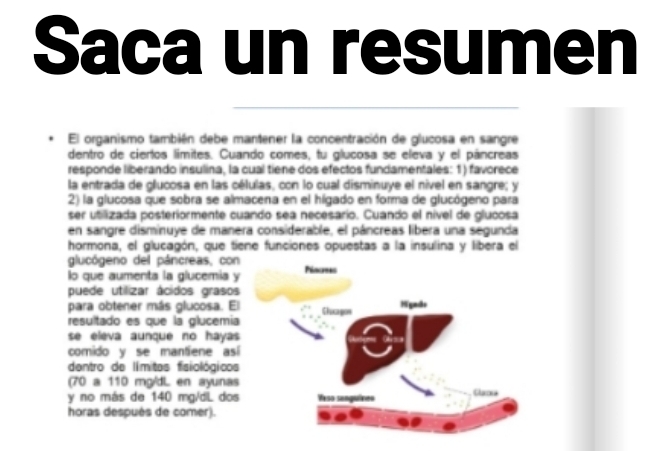 Saca un resumen 
El organismo también debe mantener la concentración de glucosa en sangre 
dentro de ciertos límites. Cuando comes, tu glucosa se eleva y el páncreas 
responde liberando insulina, la cual tiene dos efectos fundamentales: 1) favorece 
la entrada de glucosa en las células, con lo cual disminuye el nível en sangre; y 
2) la glucosa que sobra se almacena en el hígado en forma de glucógeno para 
ser utilizada posteriormente cuando sea necesario. Cuando el nível de glucosa 
en sangre disminuye de manera considerable, el páncreas libera una segunda 
hormona, el glucagón, que tiene funciones opuestas a la insulina y libera el 
glucógeno del páncreas, co 
lo que aumenta la glucemia 
puede utilizar ácidos graso 
para obtener más glucosa. E 
resultado es que la glucemi 
se eleva aunque no hayas 
comido y se mantiene as 
dentro de límitas fisiológico 
(70 a 110 mg/dL en ayuna 
y no más de 140 mg/dL do 
horas después de comer).