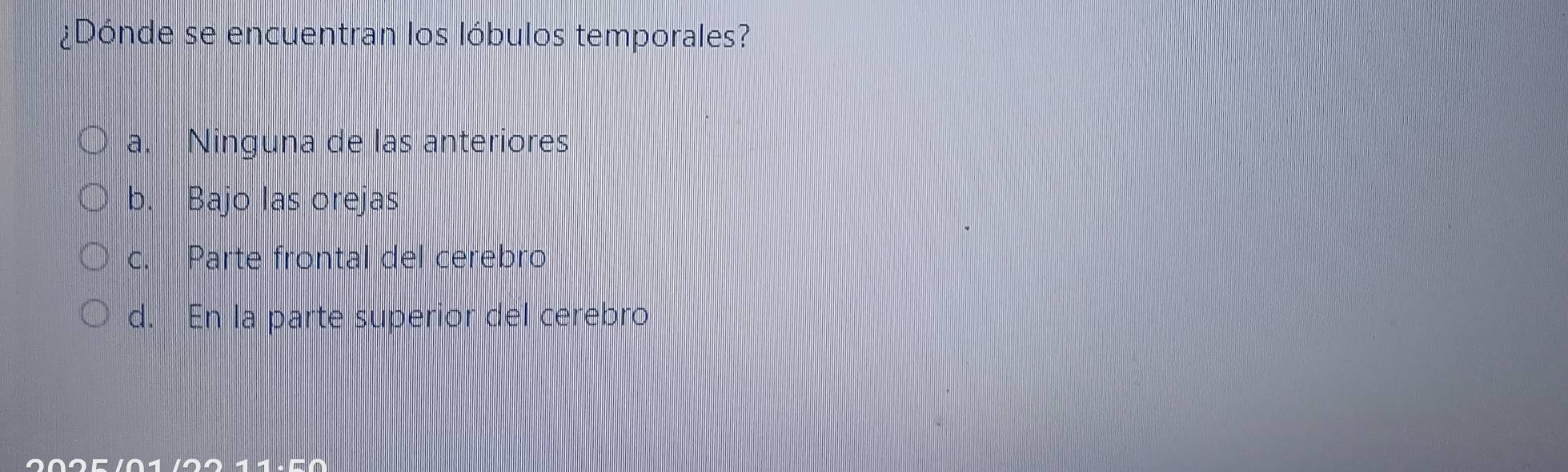 ¿Dónde se encuentran los lóbulos temporales?
a. Ninguna de las anteriores
b. Bajo las orejas
c. Parte frontal del cerebro
d. En la parte superior del cerebro