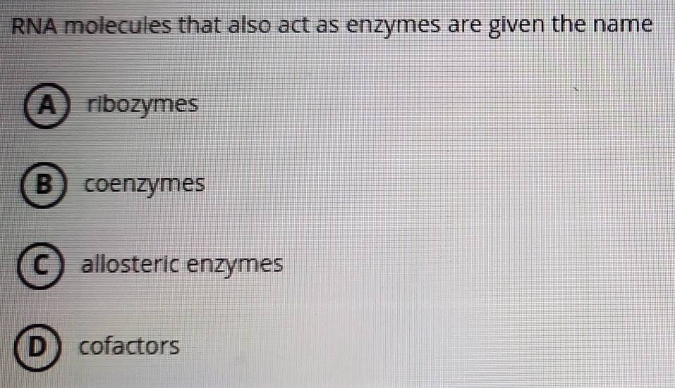 RNA molecules that also act as enzymes are given the name
A) ribozymes
B) coenzymes
C allosteric enzymes
Dcofactors