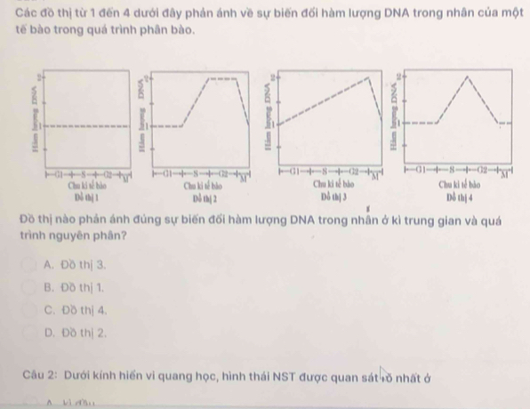 Các đồ thị từ 1 đến 4 dưới đây phản ánh về sự biến đối hàm lượng DNA trong nhân của một
tế bào trong quá trình phân bào.
2
2
8
l←G1 -8 02 hr |- G1 Chu ki tế bào -G2
Chu ki tế bào
Dỗ thị 1 Dô thị 4
Đồ thị nào phản ánh đủng sự biến đối hàm lượng DNA trong nhân ở kì trung gian và quá
trình nguyên phân?
A. Đồ thị 3.
B. Đồ thị 1.
C. Đồ thị 4.
D. Đồ thị 2.
Câu 2: Dưới kính hiển vi quang học, hình thái NST được quan sát õ nhất ở
A bì dầu