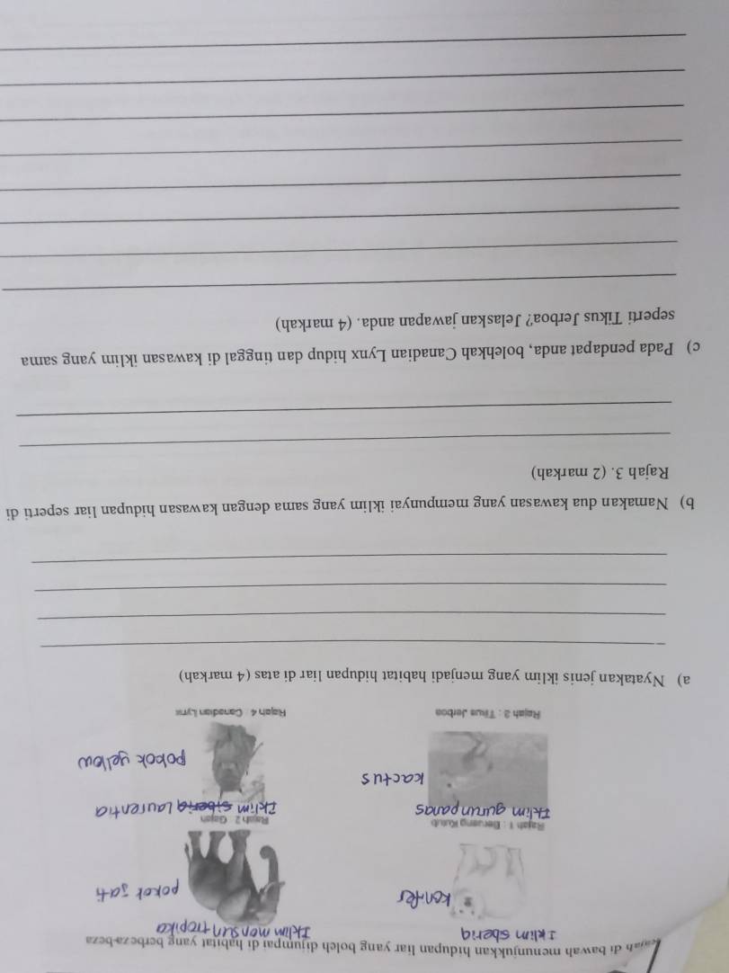 awah menunjukkan hidupan liar yang bolch dijumpai di habitat yang berbeza-beza 

Rajah1 : Berusng Kutub Rajsh 2 Gajsh 
as 
n 
kactu s 
pokok 
Rajah 3 : Tiws Jerboa Rajah 4 Canadian Lyn 
a) Nyatakan jenis iklim yang menjadi habitat hidupan liar di atas (4 markah) 
_ 
_ 
_ 
_ 
b) Namakan dua kawasan yang mempunyai iklim yang sama dengan kawasan hidupan liar seperti di 
Rajah 3. (2 markah) 
_ 
_ 
c) Pada pendapat anda, bolehkah Canadian Lynx hidup dan tinggal di kawasan iklim yang sama 
seperti Tikus Jerboa? Jelaskan jawapan anda. (4 markah) 
_ 
_ 
_ 
_ 
_ 
_ 
_ 
_