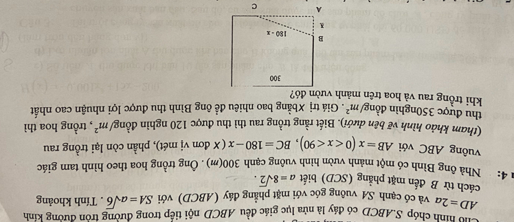 ho hính chóp S.ABCD có đáy là nửa lục giác đều ABCD nội tiếp trong đường tròn đường kính
AD=2a và có cạnh SA vuông góc với mặt phẳng đáy (ABCD) với SA=asqrt(6). Tính khoảng
cách từ B đến mặt phẳng (SCD) biết a=8sqrt(2).
m 4:  Nhà ông Bình có một mảnh vườn hình vuông cạnh 300(m). Ông trồng hoa theo hình tam giác
vuông ABC với AB=x(0 (X đơn vị mét), phần còn lại trồng rau
(tham khảo hình vẽ bên dưới). Biết rằng trồng rau thì thu được 120 nghìn đồng/ m^2 , trồng hoa thì
thu được 350nghìn đồng m^2. Giá trị Xbằng bao nhiêu để ông Bình thu được lợi nhuận cao nhất
khi trồng rau và hoa trên mảnh vườn đó?