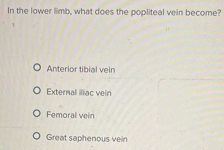 In the lower limb, what does the popliteal vein become?
Anterior tibial vein
External iliac vein
Femoral vein
Great saphenous vein