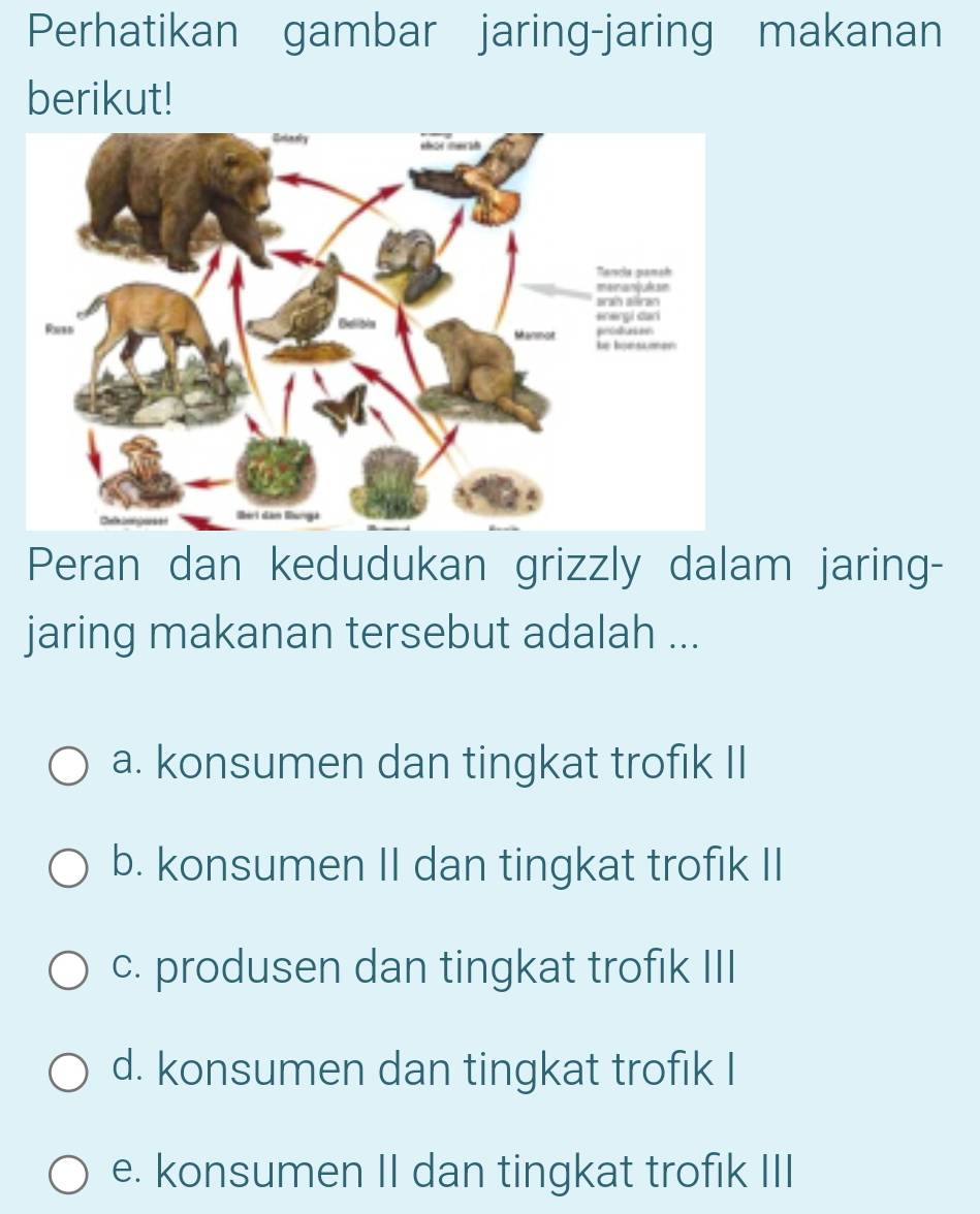 Perhatikan gambar jaring-jaring makanan
berikut!
Peran dan kedudukan grizzly dalam jaring-
jaring makanan tersebut adalah ...
a. konsumen dan tingkat trofik II
b. konsumen II dan tingkat trofik II
c. produsen dan tingkat trofik III
d. konsumen dan tingkat trofik I
e. konsumen II dan tingkat trofik III