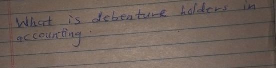 What is debenture holders in 
accounting.