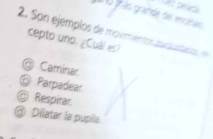 nuéz pelada
*'' más grande del encéfalo
2. Son ejemplos de movimientos involuntarios, en
cepto uno. ¿Cuál es?
@ Caminar.
⑤ Parpadear.
© Respirar.
@ Dilatar la pupila.