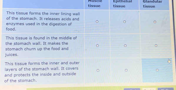 Muscle Epithelial Glandular