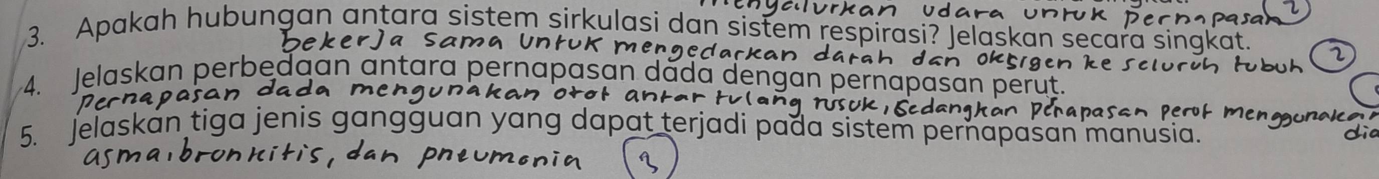 Apakah hubungan antara sistem sirkulasi dan sistem resp i? lelask 
Cdarkan 
4. Jelaskan perbedaan antara pernapasan dáda dengan per
p a
5. Jelaskan tiga jenis gangguan yang dapat terjadi pada sistem perňapašan manušia.