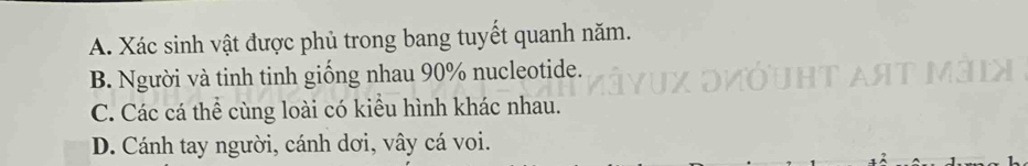 A. Xác sinh vật được phủ trong bang tuyết quanh năm.
B. Người và tinh tinh giống nhau 90% nucleotide.
C. Các cá thể cùng loài có kiểu hình khác nhau.
D. Cánh tay người, cánh dơi, vây cá voi.