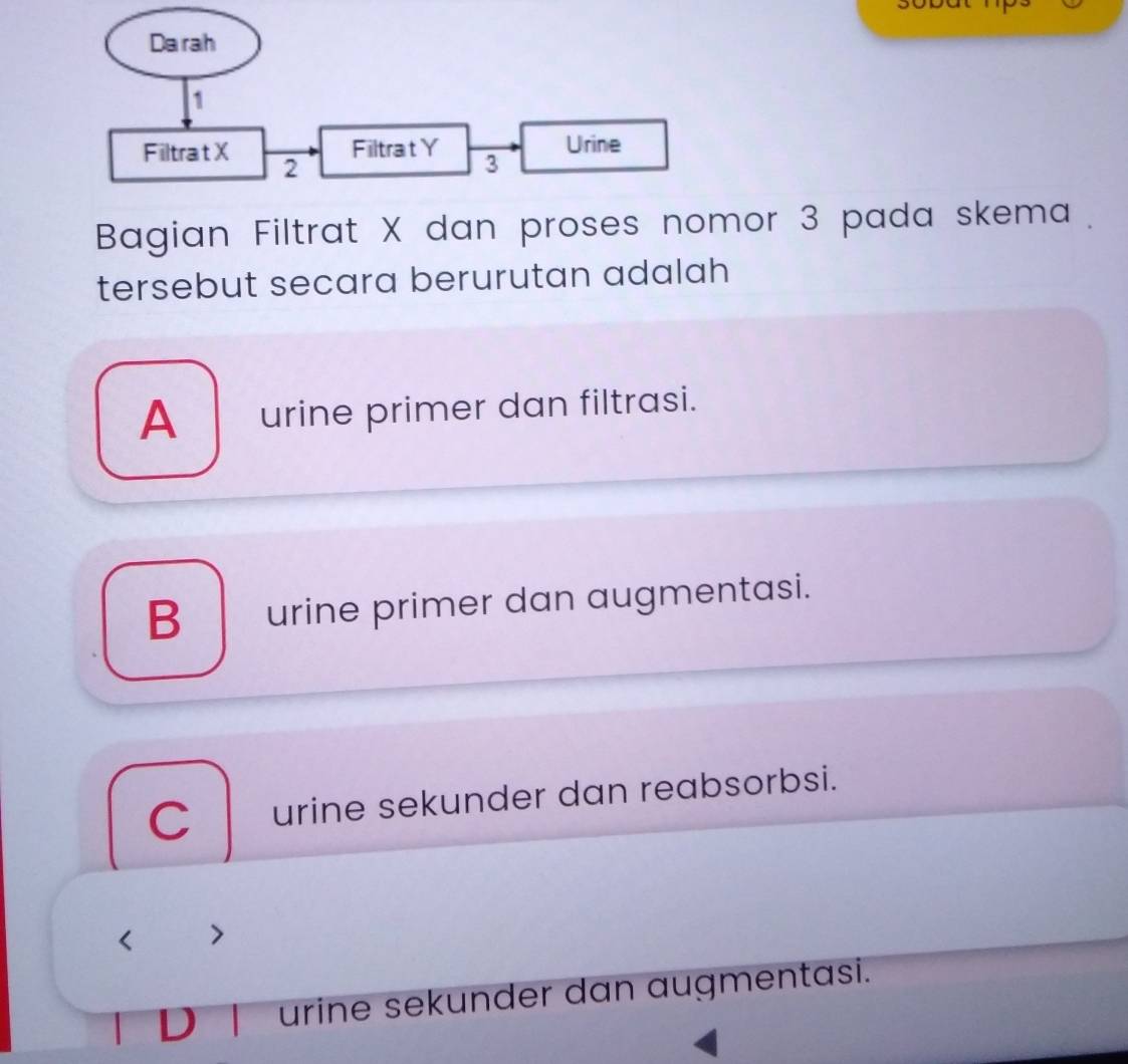 Da rah
1
Urine
FiltratY 3
Filtra t X 2
Bagian Filtrat X dan proses nomor 3 pada skema .
tersebut secara berurutan adalah
A__ urine primer dan filtrasi.
B_ urine primer dan augmentasi.
C urine sekunder dan reabsorbsi.

urine sekunder dan augmentasi.