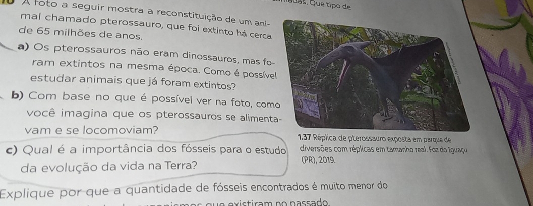 Quuas. Que tipo de 
o A foto a seguir mostra a reconstituição de um ani- 
mal chamado pterossauro, que foi extinto há cerca 
de 65 milhões de anos. 
a) Os pterossauros não eram dinossauros, mas fo 
ram extintos na mesma época. Como é possíve 
estudar animais que já foram extintos? 
b) Com base no que é possível ver na foto, com 
você imagina que os pterossauros se aliment 
vam e se locomoviam? 1.37 Réplica de pterossauro exposta em parque de 
c) Qual é a importância dos fósseis para o estudo diversões com réplicas em tamanho real. Foz do Iguaçu 
da evolução da vida na Terra? 
(PR), 2019. 
Explique por que a quantidade de fósseis encontrados é muito menor do 
existiram no passado