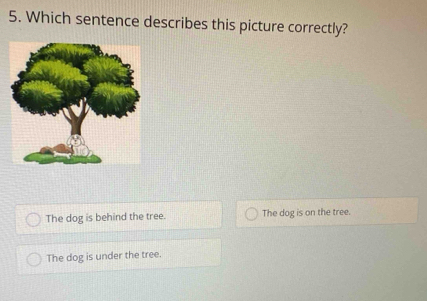 Which sentence describes this picture correctly?
The dog is behind the tree. The dog is on the tree.
The dog is under the tree.