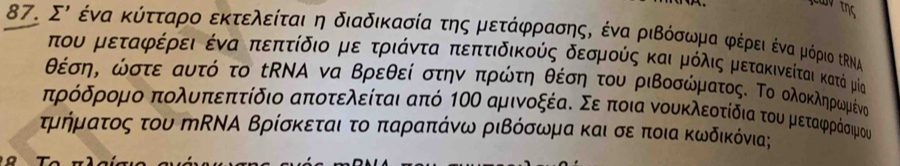 Σι ένα κύττααρο εκτελείταιοη διαδικασία της μετάφρασης, ένα ριΒόσωμα φέρειοένα μόριο ΙΡΝΑ
πτου μεταφρκέρει ένα οκπεπτίδιο μεαοατριάνταα οπεπτιδικούς δεσμούς και μόλις μετακινείται κατά μία
θέση, ώστε αυτό το ίΝΑ να Βρεθεί στην πρώτη θέση του ριβοσώματος. Το ολοκληρωμένο
ατρόδρρομο πολυπεπτίδιο αποτελείται από 1οΟ αμινοξέαο Σερποια νουκλεοτίδια του μεταφράσιημοα 
τμρήμαατος του тΝΑ Βρίσκεταια τοο παραπάνω ριΒόσωμα καισε ποια κωδικόνια;