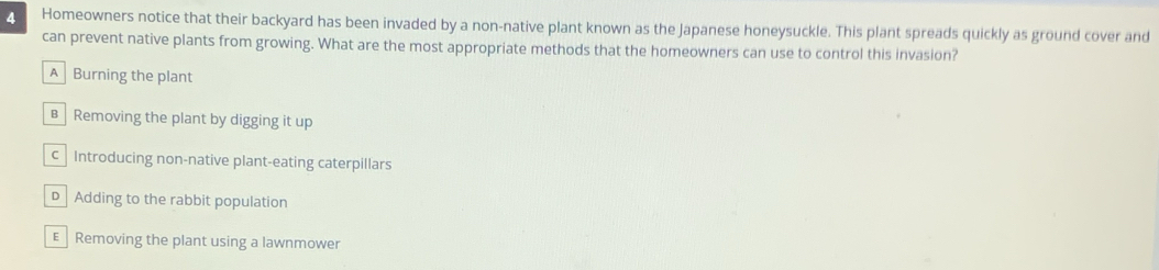Homeowners notice that their backyard has been invaded by a non-native plant known as the Japanese honeysuckle. This plant spreads quickly as ground cover and
can prevent native plants from growing. What are the most appropriate methods that the homeowners can use to control this invasion?
A Burning the plant
€ Removing the plant by digging it up
c Introducing non-native plant-eating caterpillars
D Adding to the rabbit population
ERemoving the plant using a lawnmower