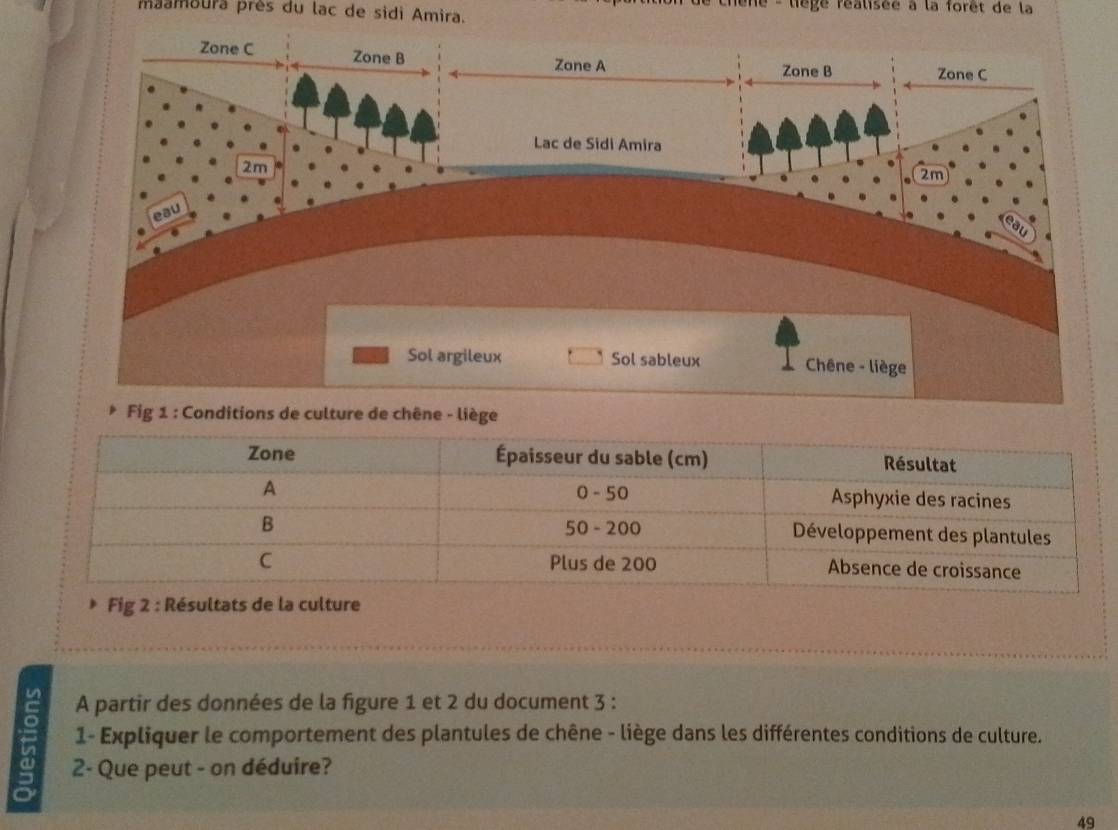 chène - liège réalisée à la forêt de la 
maamoura près du lac de sidi Amira. 
Fig 2 : Résultats de la culture 
un A partir des données de la figure 1 et 2 du document 3 : 
) 1- Expliquer le comportement des plantules de chêne - liège dans les différentes conditions de culture. 
2- Que peut - on déduire? 
49