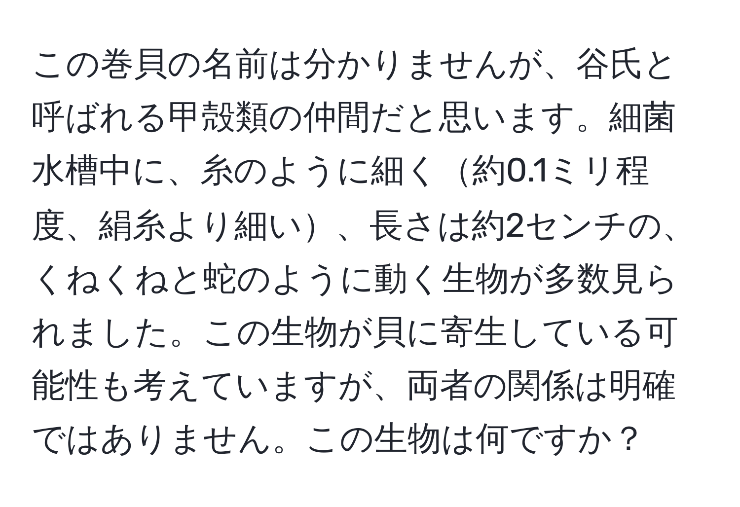 この巻貝の名前は分かりませんが、谷氏と呼ばれる甲殻類の仲間だと思います。細菌水槽中に、糸のように細く約0.1ミリ程度、絹糸より細い、長さは約2センチの、くねくねと蛇のように動く生物が多数見られました。この生物が貝に寄生している可能性も考えていますが、両者の関係は明確ではありません。この生物は何ですか？