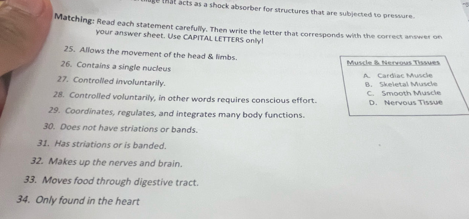 age that acts as a shock absorber for structures that are subjected to pressure.
Matching: Read each statement carefully. Then write the letter that corresponds with the correct answer on
your answer sheet. Use CAPITAL LETTERS only!
25. Allows the movement of the head & limbs.
Muscle & Nervous Tissues
26. Contains a single nucleus
A. Cardiac Muscle
27. Controlled involuntarily.
B. Skeletal Muscle
28. Controlled voluntarily, in other words requires conscious effort. C. Smooth Muscle
D. Nervous Tissue
29. Coordinates, regulates, and integrates many body functions.
30. Does not have striations or bands.
31. Has striations or is banded.
32. Makes up the nerves and brain.
33. Moves food through digestive tract.
34. Only found in the heart