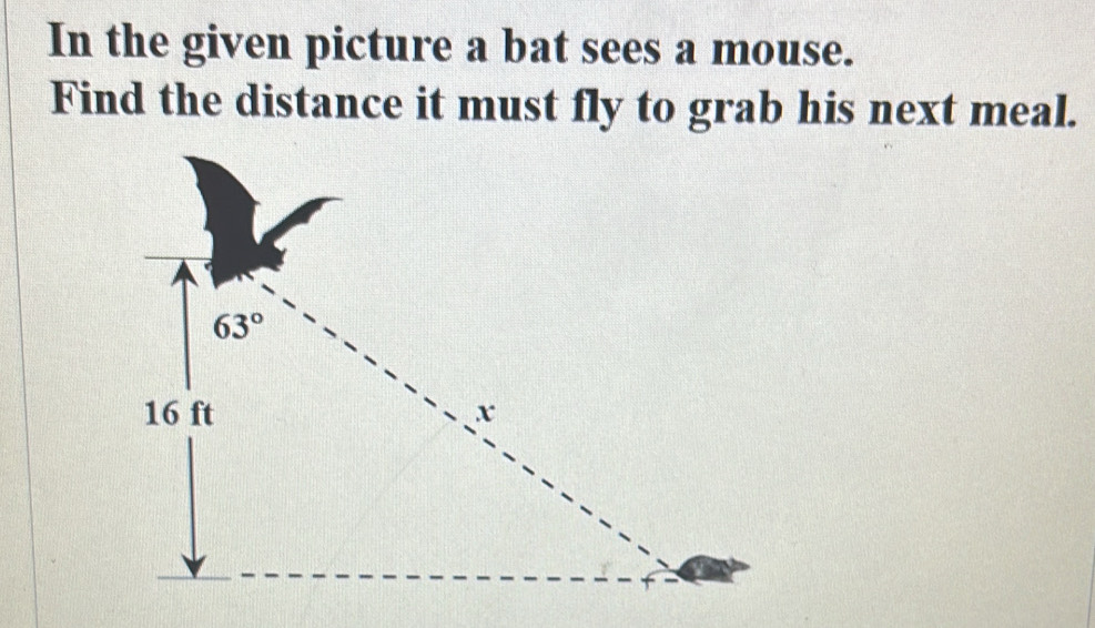 In the given picture a bat sees a mouse.
Find the distance it must fly to grab his next meal.