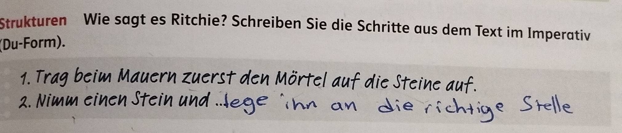 Strukturen Wie sagt es Ritchie? Schreiben Sie die Schritte aus dem Text im Imperativ 
(Du-Form).