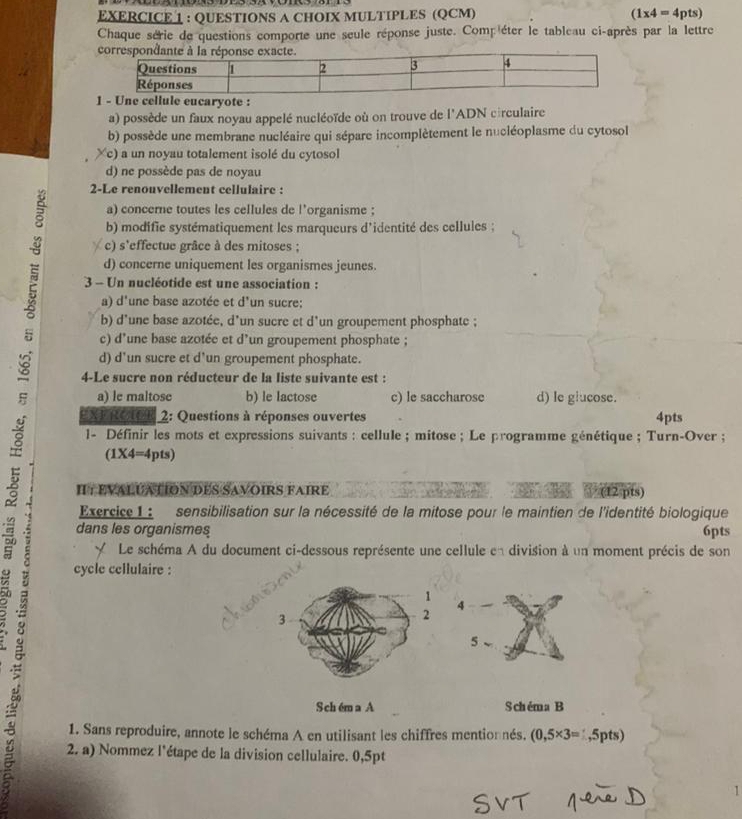 CHOIX MULTIPLES (QCM) (1* 4=4pts)
Chaque série de questions comporte une seule réponse juste. Comp'éter le tableau ci-après par la lettre
ote :
a) possède un faux noyau appelé nucléoïde où on trouve de l'ADN circulaire
b) possède une membrane nucléaire qui sépare incomplètement le nucléoplasme du cytosol
c)   un noyau totalement isolé du cytosol
d) ne possède pas de noyau
2-Le renouvellement cellulaire :
a) concerne toutes les cellules de l’organisme ;
b) modifie systématiquement les marqueurs d'identité des cellules ;
c) s'effectue grâce à des mitoses ;
d) concerne uniquement les organismes jeunes.
3 - Un nucléotide est une association :
a) d'une base azotée et d'un sucre;
b) d'une base azotée, d'un sucre et d'un groupement phosphate ;
c) d'une base azotée et d'un groupement phosphate ;
s EXFRCIR 2: Questions à réponses ouvertes 4pts
d) d'un sucre et d'un groupement phosphate.
4-Le sucre non réducteur de la liste suivante est :
a) le maltose b) le lactose c) le saccharose d) le glucose.
1- Définir les mots et expressions suivants : cellule ; mitose ; Le programme génétique ; Turn-Over ;
(1* 4=4pts)
IIT EVALUATION DES SAVOIRS FAIRE 3    (12 pts)
é
Exercice 1 :  sensibilisation sur la nécessité de la mitose pour le maintien de l'identité biologique
dans les organismes 6pts
Le schéma A du document ci-dessous représente une cellule en division à un moment précis de son
cycle cellulaire :
Sch ém a A Schéma B
1. Sans reproduire, annote le schéma A en utilisant les chiffres mentionnés. (0,5* 3= ,5pts)
2. a) Nommez l'étape de la division cellulaire. 0,5pt
1