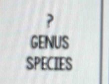 ? 
GENUS 
SPECIES